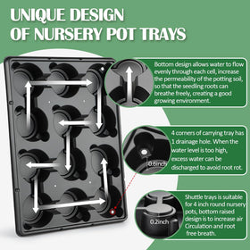 RooTrimmer 12-cell nursery tray keeps seedlings organized for efficient potting.