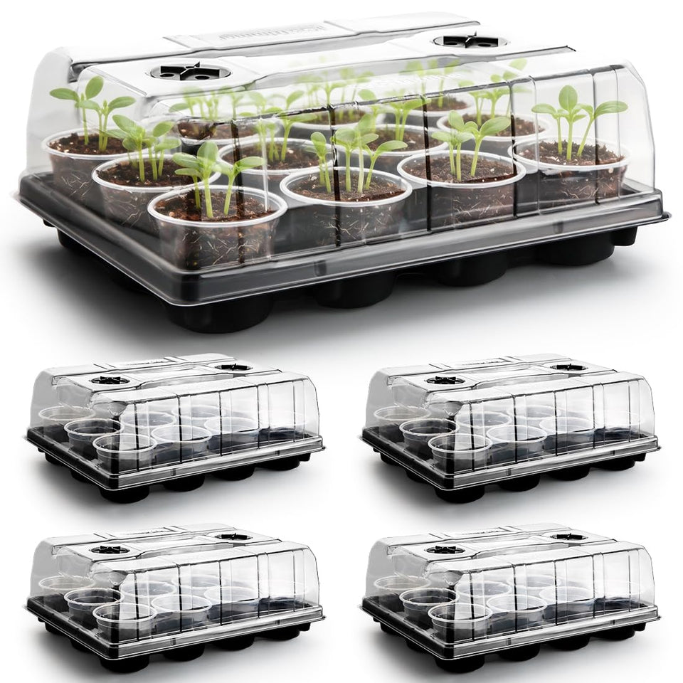 RooTrimmer 12-cell tray with humidity dome keeps seedlings organized and easy to water