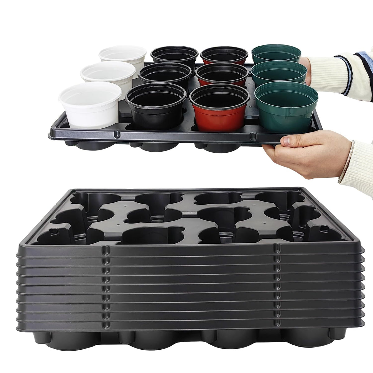 RooTrimmer 12-cell tray organizing 4-inch pots for seedlings efficiently