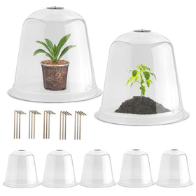 RooTrimmer 13-inch humidity dome over a seedling for microclimate protection