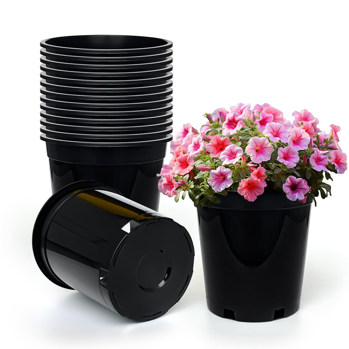 RooTrimmer 1.5-gallon round pot with drainage holes for better moisture control.