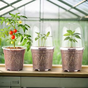 RooTrimmer 15-pack seed-start pots ready for bulk planting and growth.