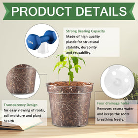 RooTrimmer 2.5 inch pot with drainage holes for healthy roots