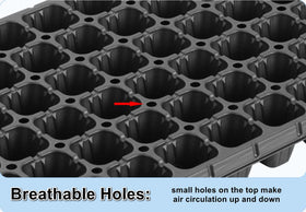 RooTrimmer 200-cell tray close-up showing drainage holes for air flow.