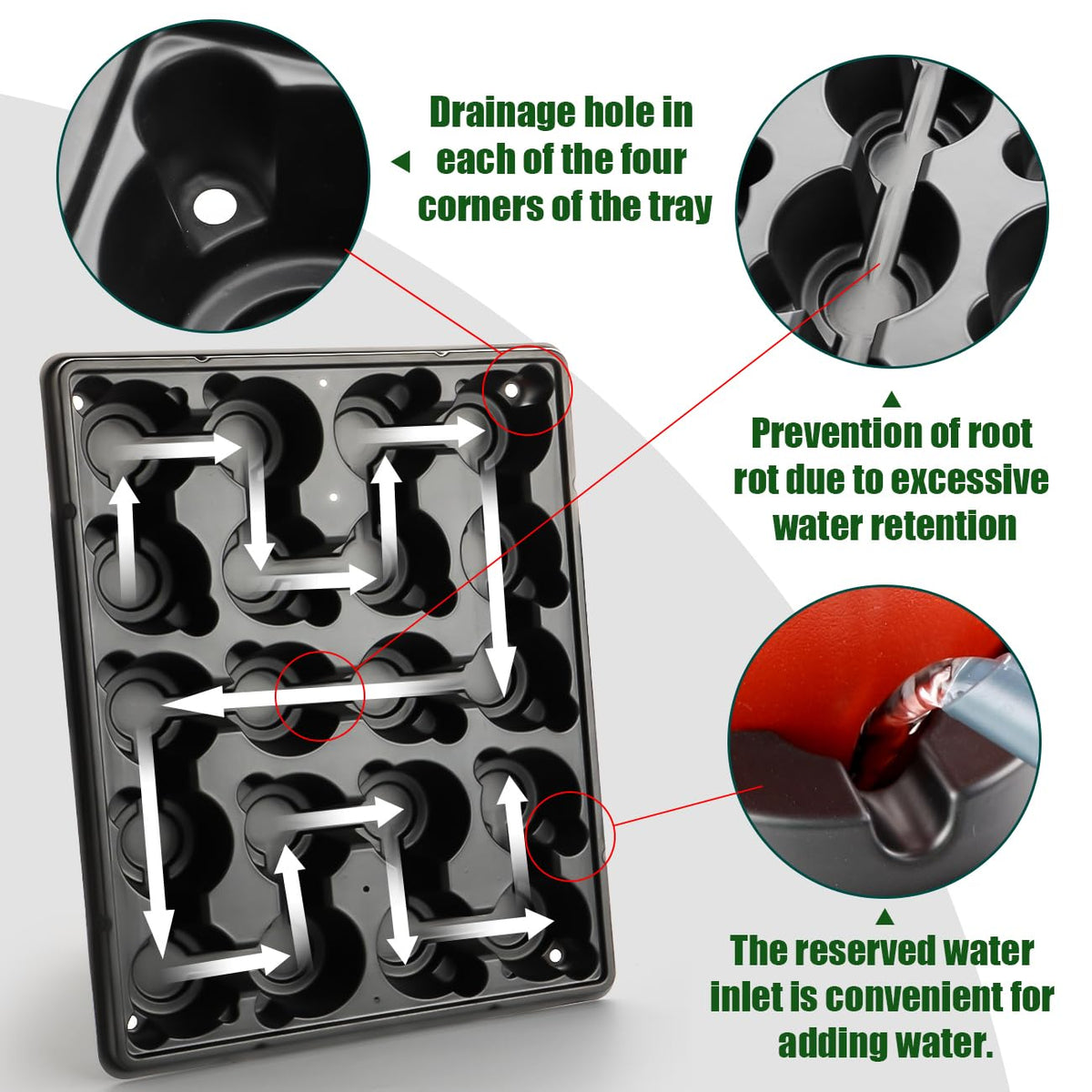 RooTrimmer tray shows drainage holes to prevent overwatering and promote healthy roots.