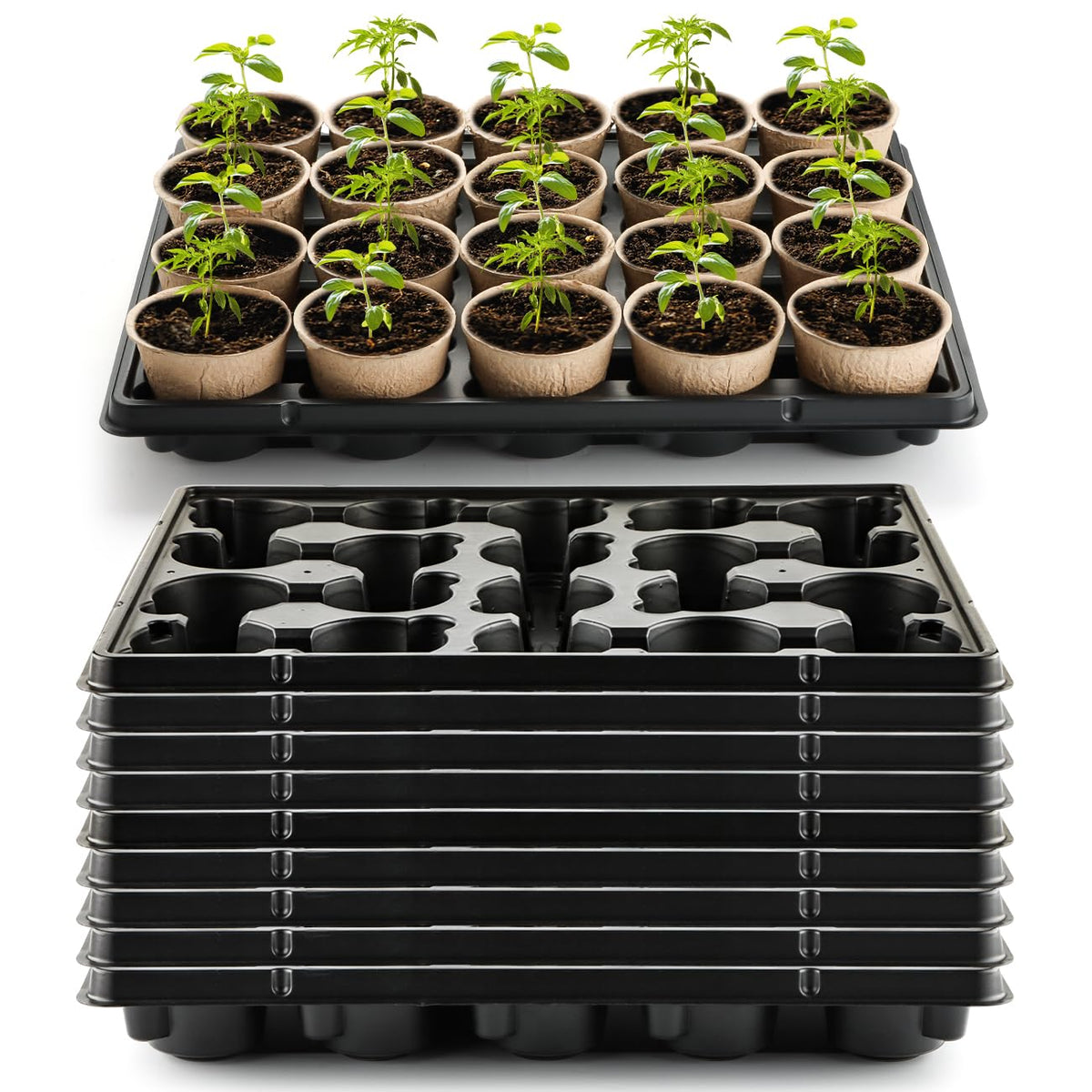 RooTrimmer 20-cell tray in durable plastic offers stable seedling support.