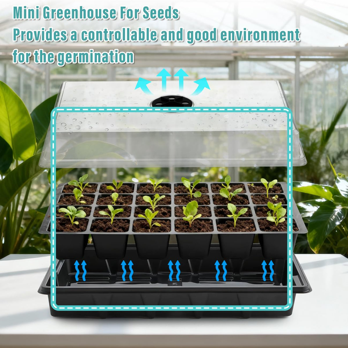 RooTrimmer 24-cell per tray 2-inch cells support robust root growth.
