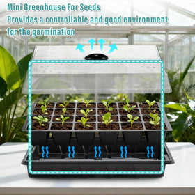 RooTrimmer 24-cell per tray 2-inch cells support robust root growth.