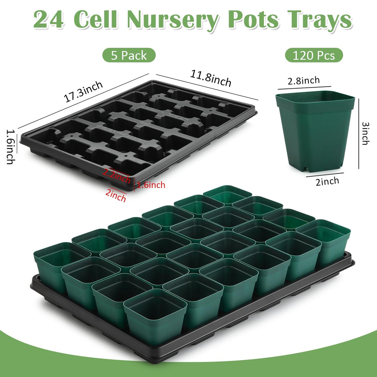 RooTrimmer 24-cell tray in green for moving multiple seedlings at once.