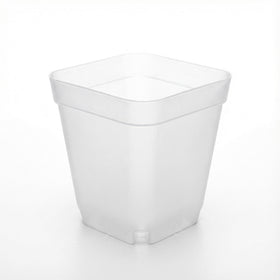 RooTrimmer compatible with 24-cell trays for organized greenhouse propagation.