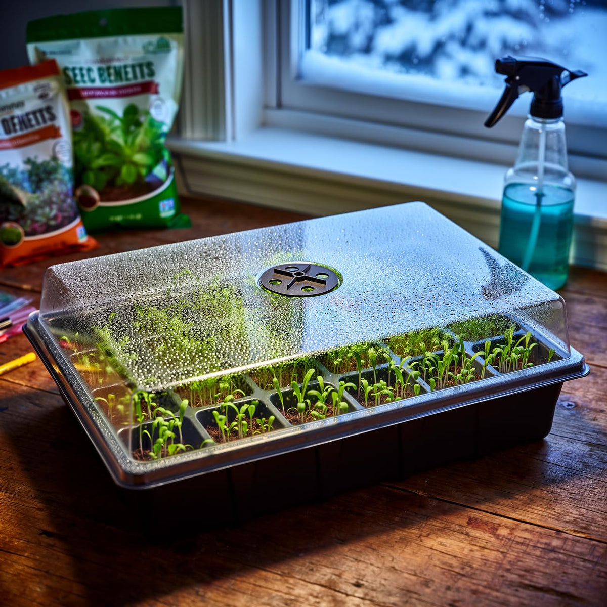 Transparent lid on RooTrimmer seed starter allows quick monitoring.