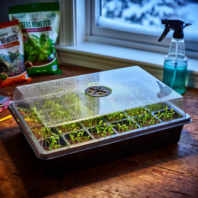 Transparent lid on RooTrimmer seed starter allows quick monitoring.