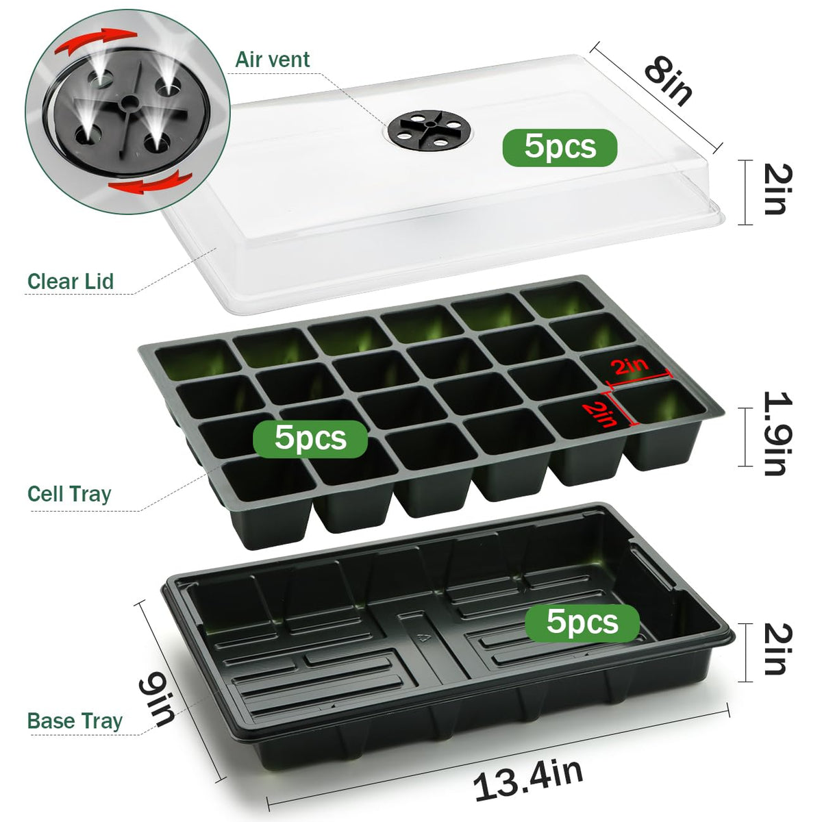 Protective lid and base safeguard seedlings during early growth.