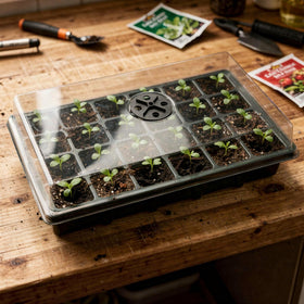 Compact greenhouse setup with RooTrimmer seed starting trays.