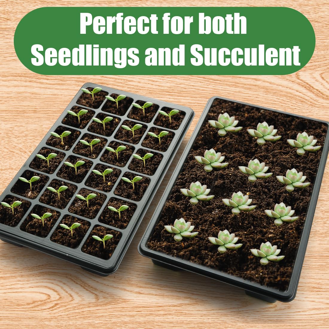 RooTrimmer seed starting kit for herbs, flowers, vegetables.