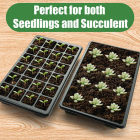 RooTrimmer seed starting kit for herbs, flowers, vegetables.