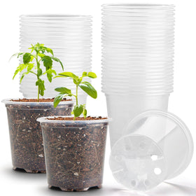 RooTrimmer 3.5-inch clear seeding pot for watching germination progress.