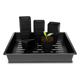 RooTrimmer 3.15-inch square pot with tray for compact propagation setup