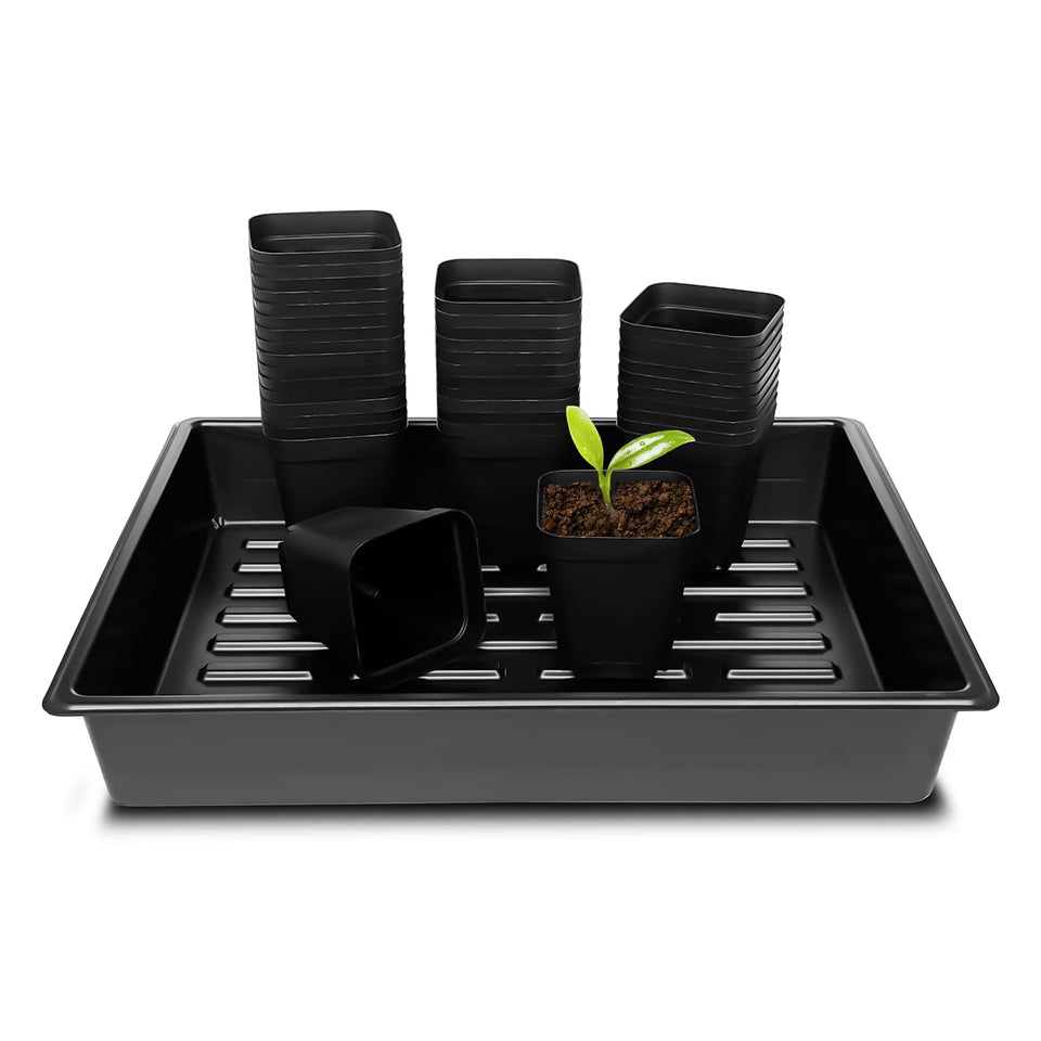 RooTrimmer 3.15-inch square pot with tray for compact propagation setup