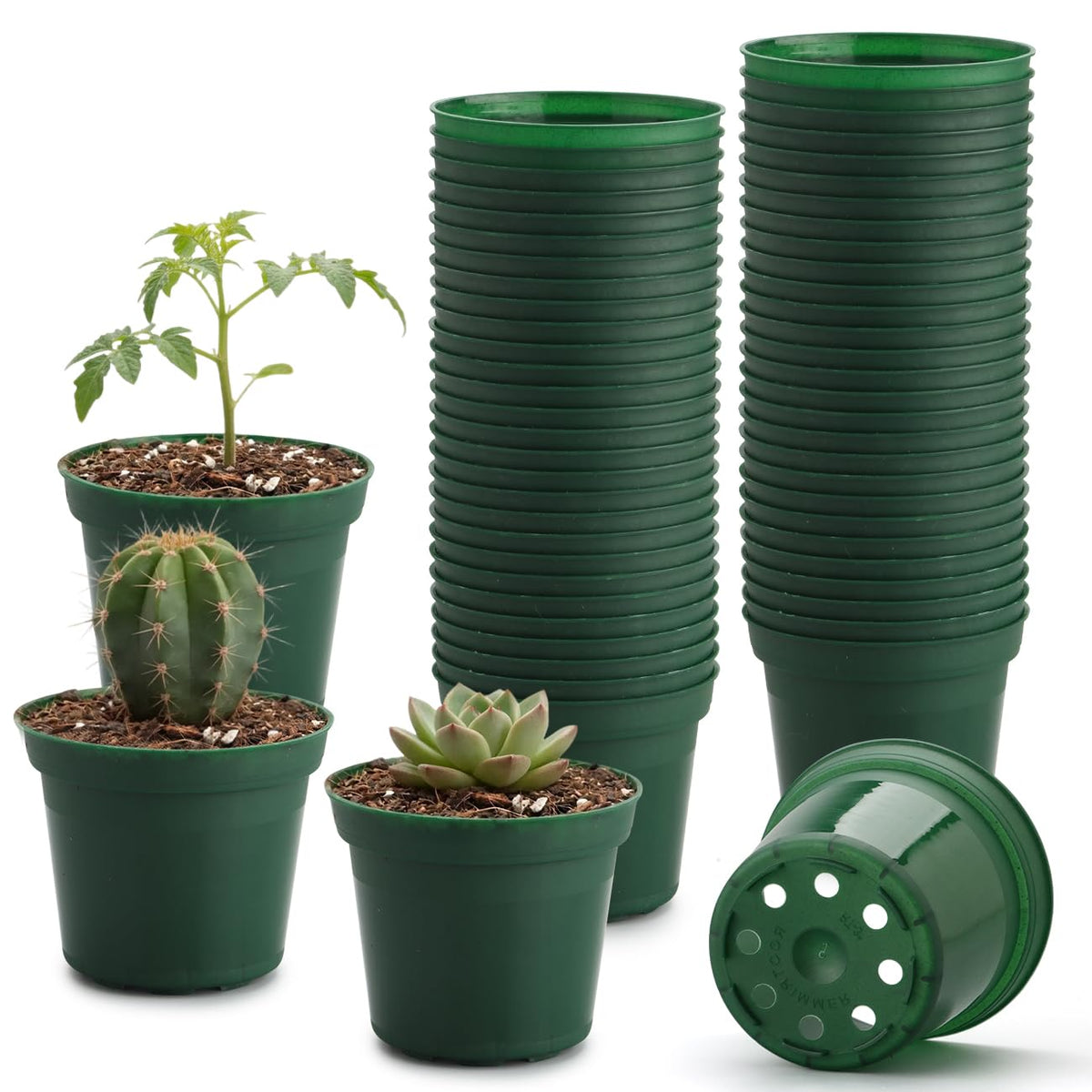 RooTrimmer 3-inch plastic nursery pot with drainage and raised base for healthy seedling growth.