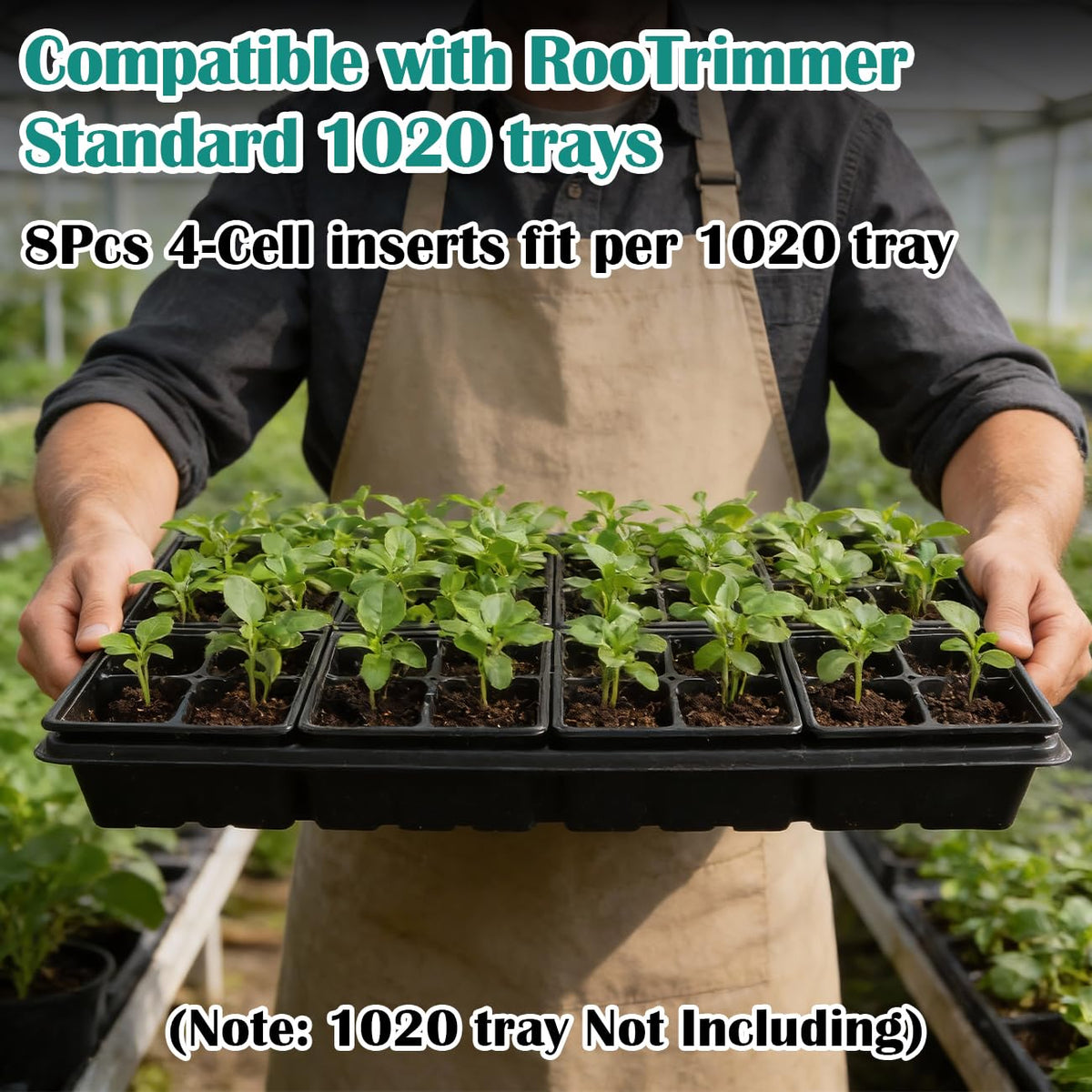 RooTrimmer four-cell tray enables easy transplant of seedlings.