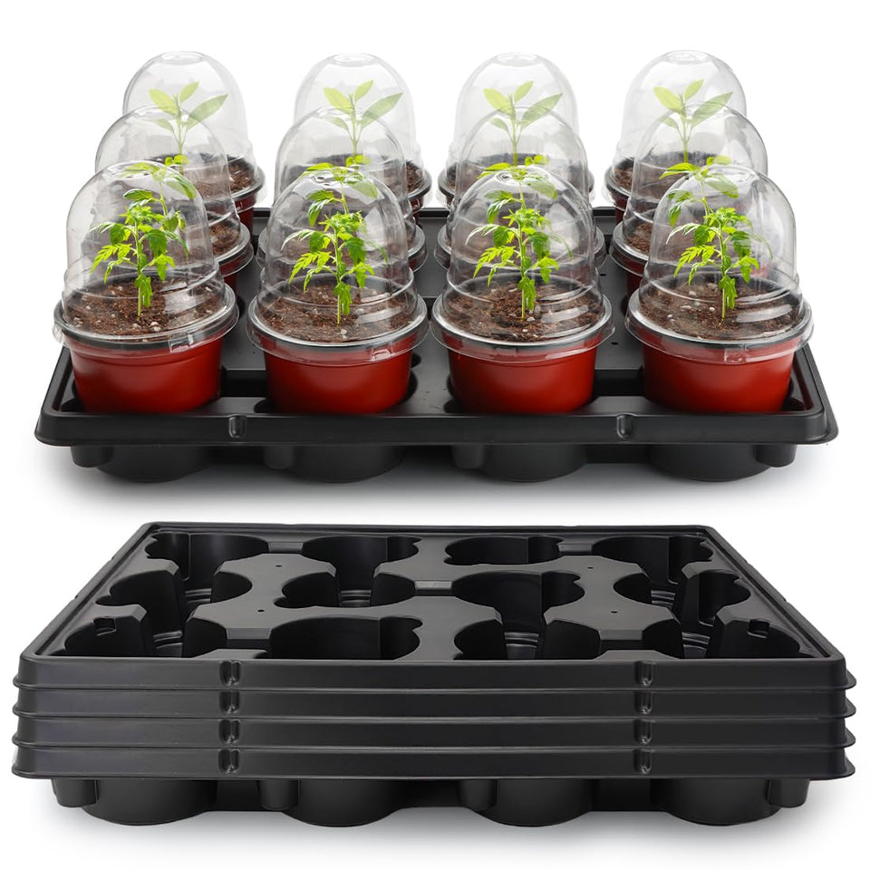 RooTrimmer 4-inch nursery pots with humidity domes for easy seedling monitoring
