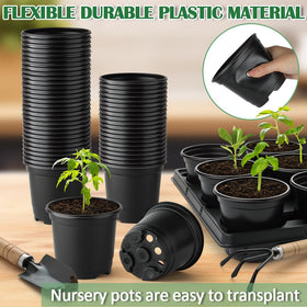 RooTrimmer 4-inch pots stacked to save space.