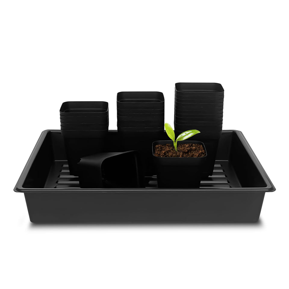 RooTrimmer 4-inch square pots with tray for organized seedling start.