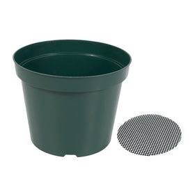 RooTrimmer 4-inch nursery pot with mesh – promotes airflow and prevents root rot.