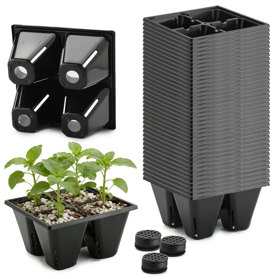 RooTrimmer 40-pack four-cell seed starter tray for organized germination.