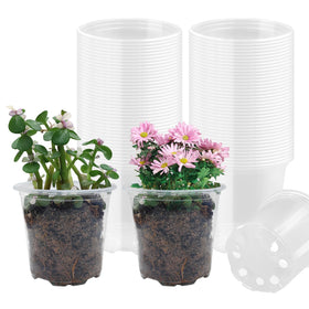RooTrimmer 4-inch clear seeding pot with transparent wall to monitor germination and root growth.