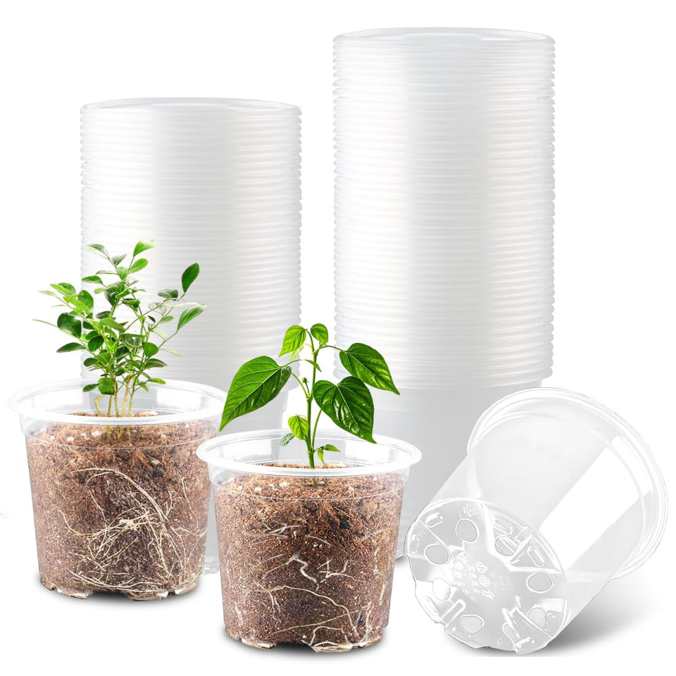 RooTrimmer 4-inch clear pot with drainage holes for healthy seedlings.