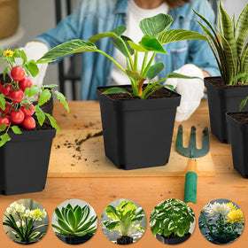 RooTrimmer 5.5-inch pots ideal for transplanting seedlings and cuttings