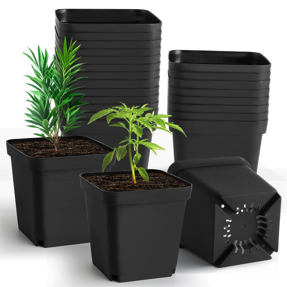 RooTrimmer square nursery pots in a pack for seed starting and transplanting