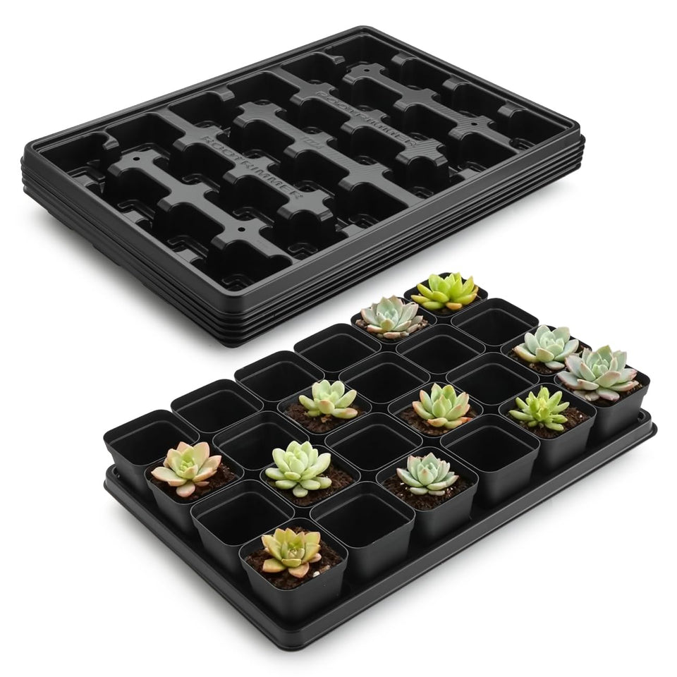 RooTrimmer 5-pack 24-cell nursery pots and trays ready for seed starting.