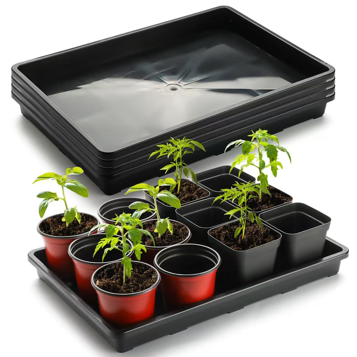 RooTrimmer 5-pack nursery potting tray no holes keeps soil contained and reuse-ready.