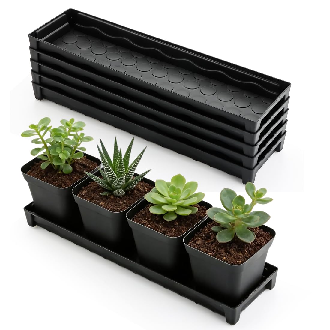 RooTrimmer 5-pack window sill saucers organized for multiple pots on a shelf.