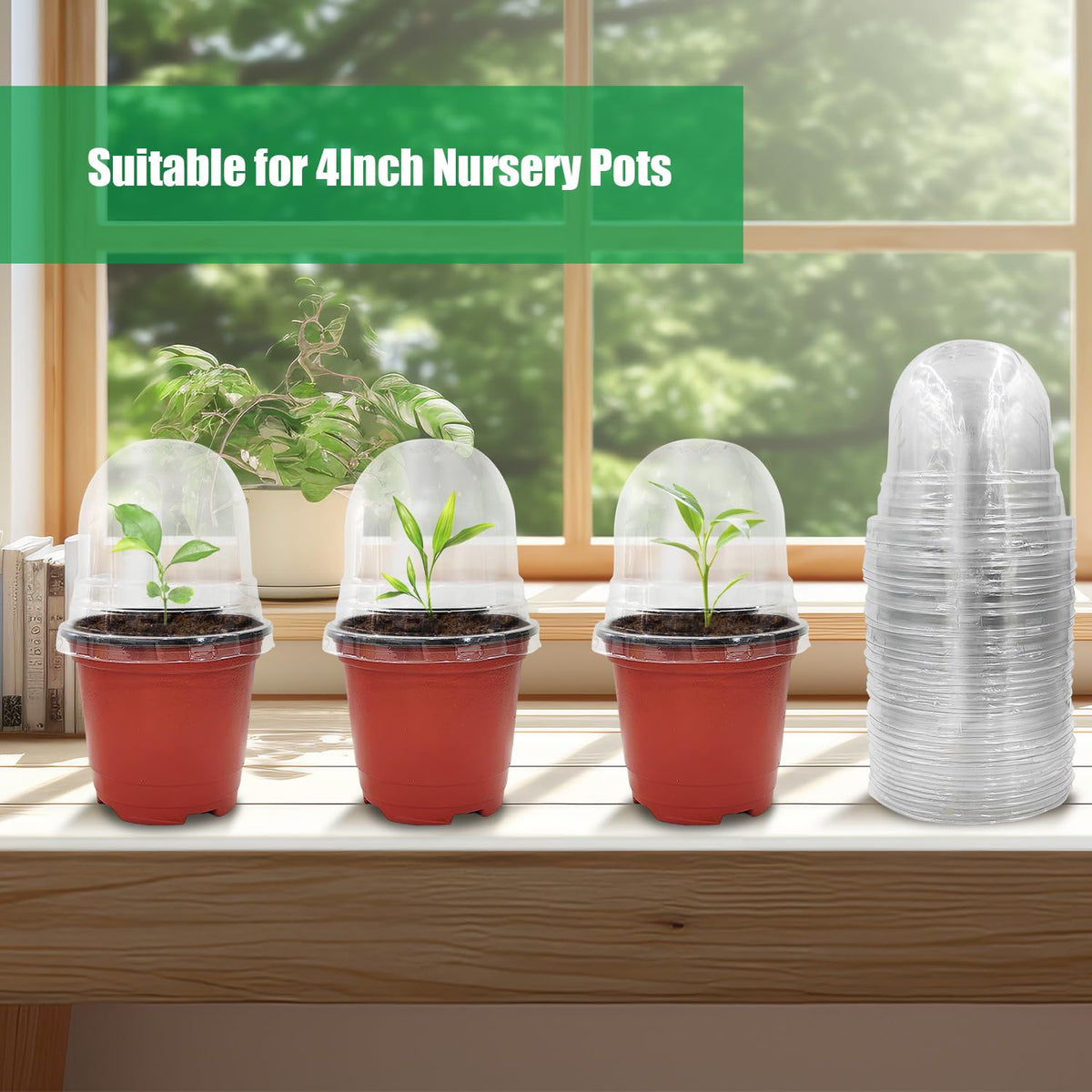 RooTrimmer 50-pack dome set for quick seed starting.