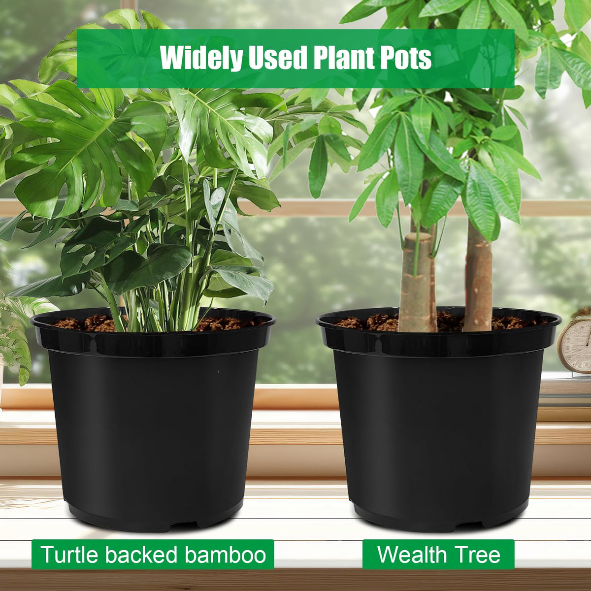 RooTrimmer 5-Gallon pots ready for indoor or outdoor placement and movement