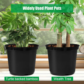 RooTrimmer 5-Gallon pots ready for indoor or outdoor placement and movement