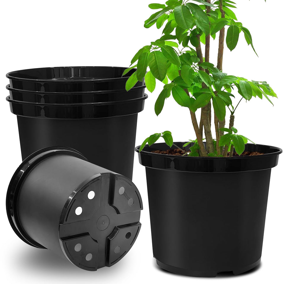 RooTrimmer 5-Gallon pot full view highlighting ample planting space