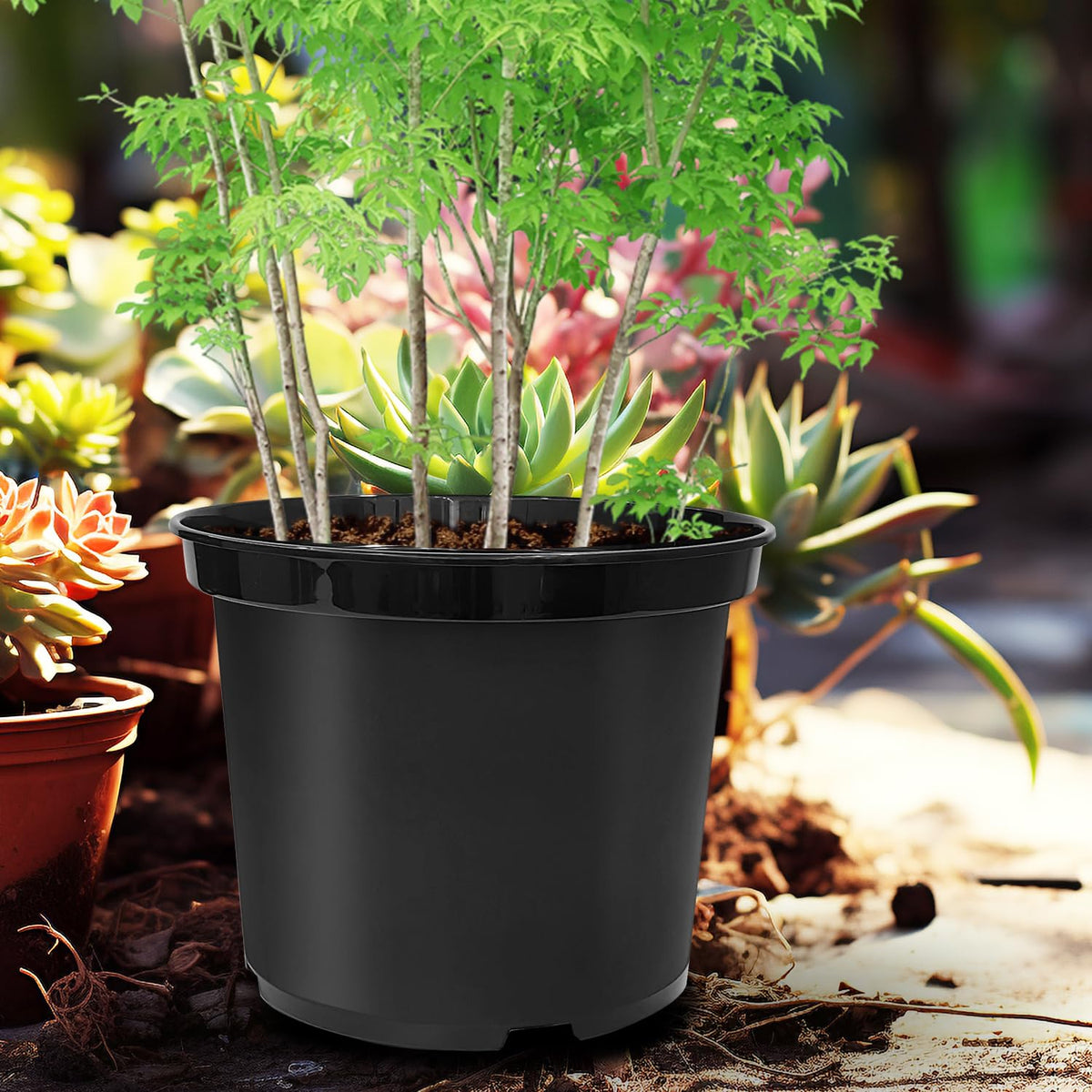RooTrimmer 5-Gallon pot suitable for multiple plants in a single 12-inch container