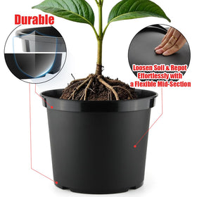 RooTrimmer 5-Gallon pot with textured surface for secure grip