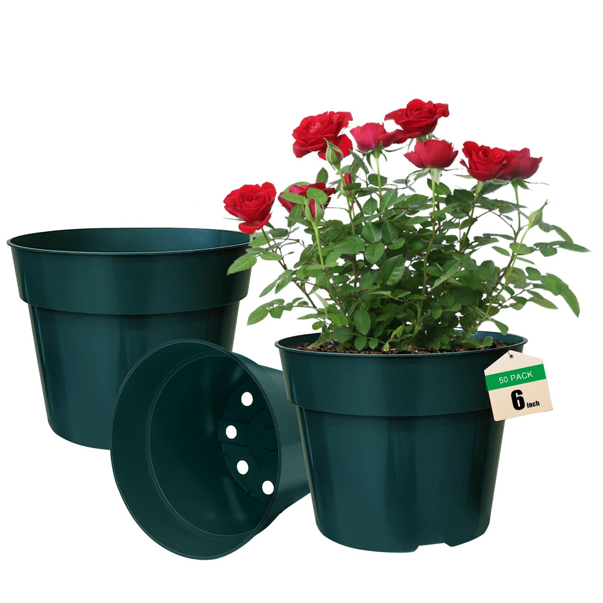 RooTrimmer 6-inch nursery pot with drainage holes for healthy root growth.