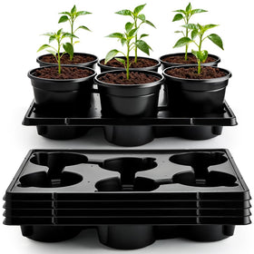 RooTrimmer 6-inch plastic pots in a 30-pack for durable seed starting and reuse.