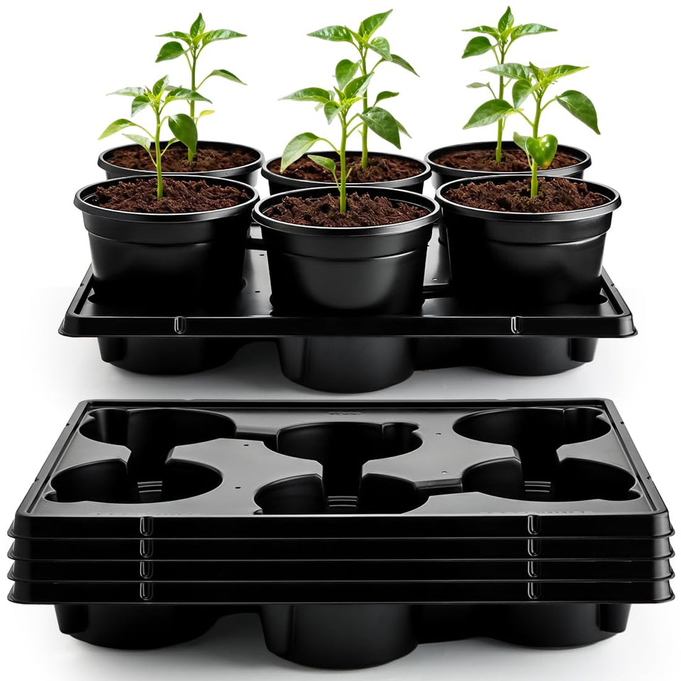 RooTrimmer 6-inch plastic pots in a 30-pack for durable seed starting and reuse.