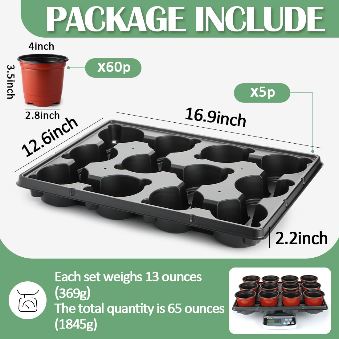 RooTrimmer 60 pots in trays simplifies organized seedling setup and transport.