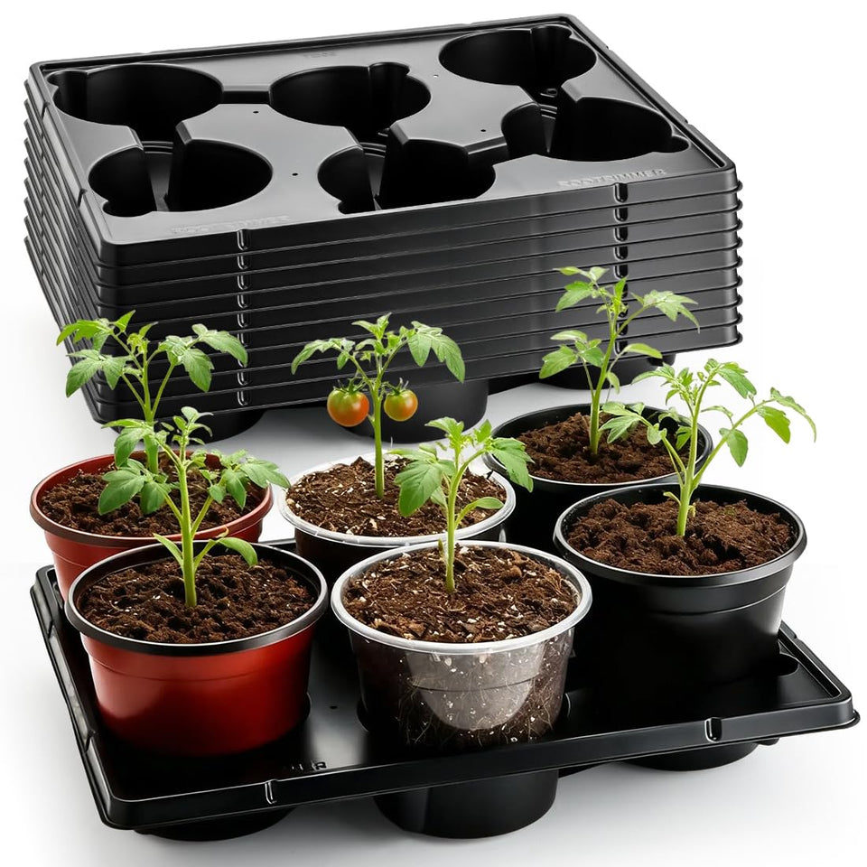 RooTrimmer 6-cell round nursery tray holds 6-inch pots securely for tidy seedlings.