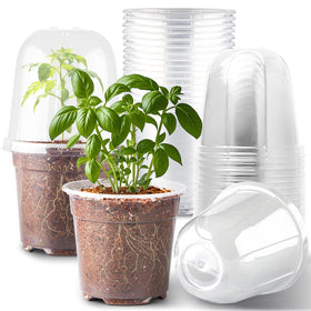 RooTrimmer 6-inch clear nursery pot with humidity dome for monitoring moisture and airflow.