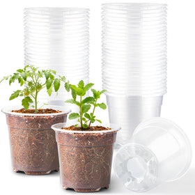 RooTrimmer 6-inch clear pot pack for easy seedling monitoring.